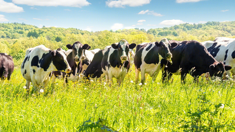 20230307143337_92157