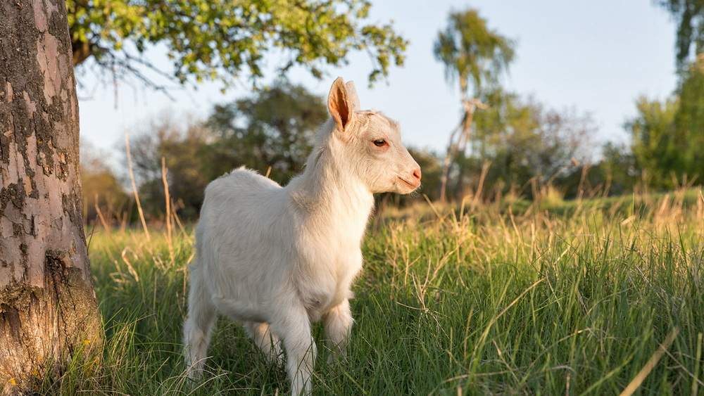 20230307143600_53153