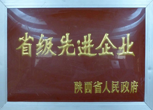 20230307151132_28913