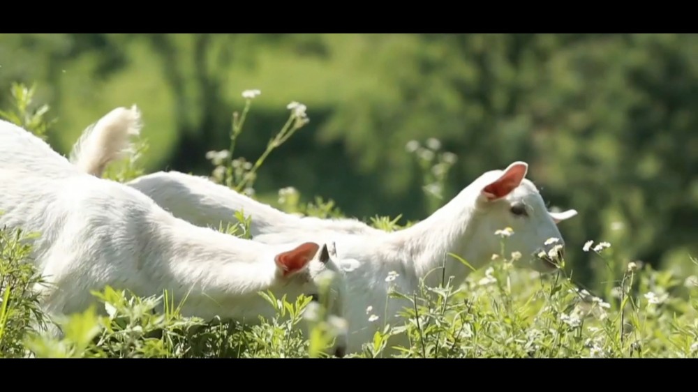 20240514085757_62492